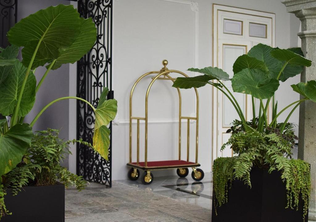 Casa Hidalgo Hotel Boutique Oaxaca Exteriér fotografie